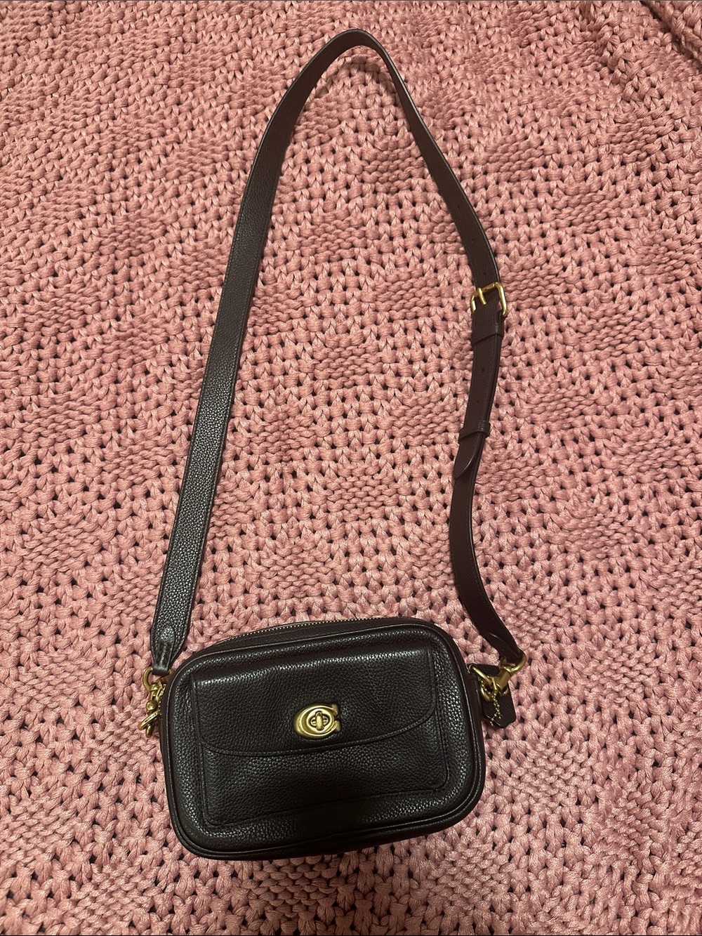Authentic COACH Willow Mini Leather Camera Crossbody